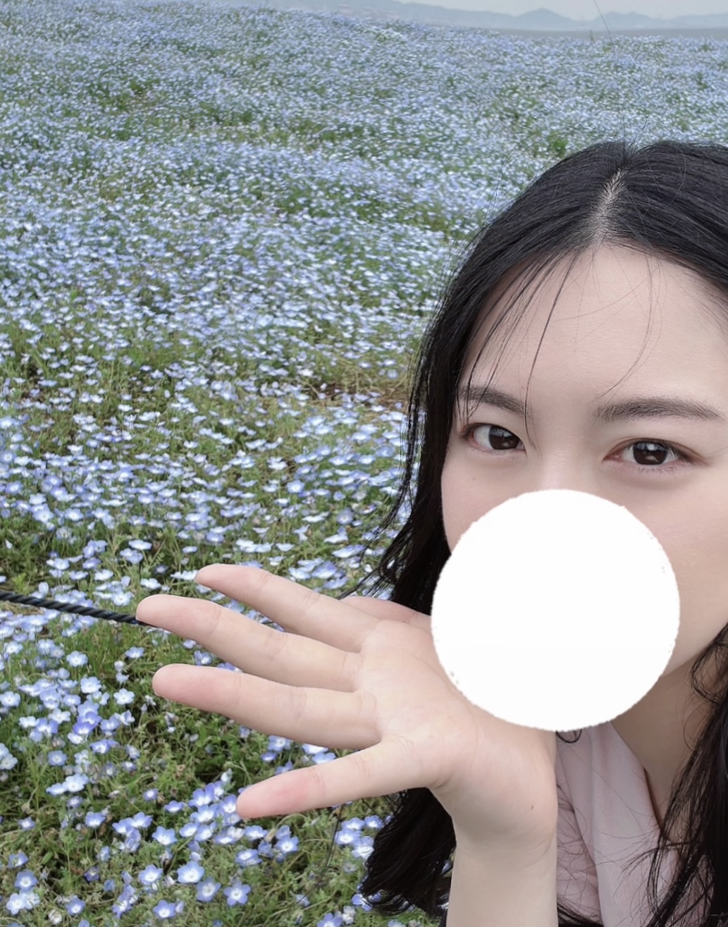 ネモフィラ